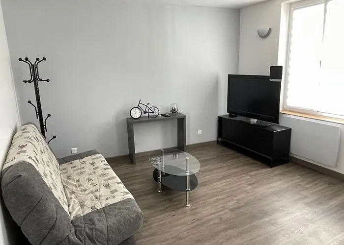 Le Dominicains Appartement Au Calme Aux Portes De La Place Stanislas