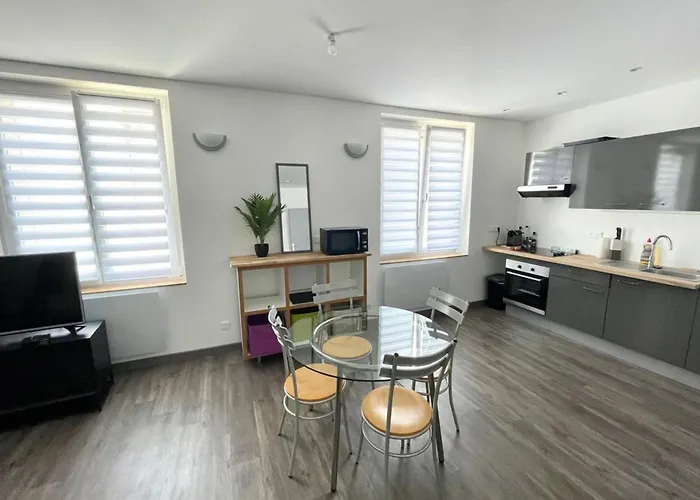 Le Dominicains Appartement Au Calme Aux Portes De La Place Stanislas